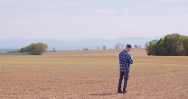 Landbouw Boer Wandelen op het veld. — Stockvideo