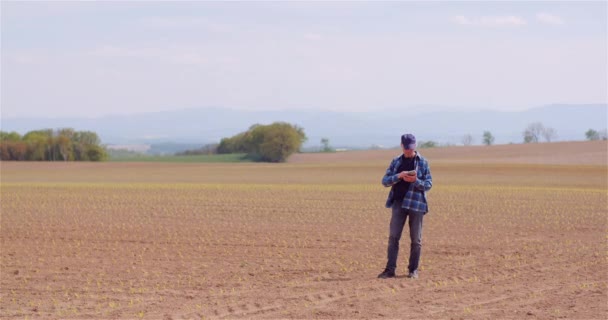 Landbouw, voedselproductie - Landbouwer die gewassen op het veld onderzoekt — Stockvideo