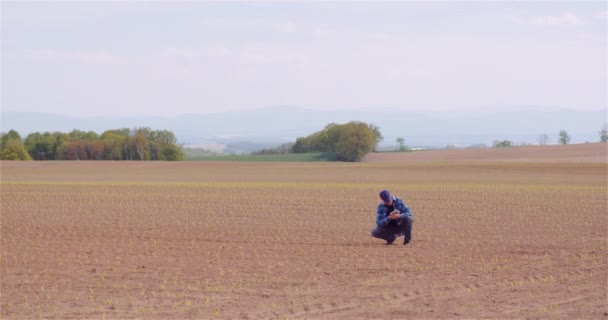 Landwirt geht auf Feld. — Stockvideo