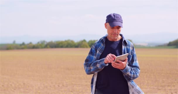 Agrónomo trabajando en tableta en el campo de maíz joven — Vídeo de stock