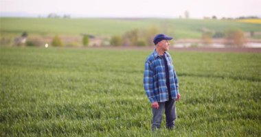 Tarım, Gıda Üretimi - Tarladaki Ekinleri İnceleyen Çiftçi