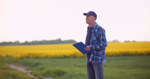 Agronomist Examining Crops on Field. — Stok Video