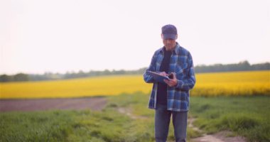 Tarım, Gıda Üretimi - Tarladaki Ekinleri İnceleyen Çiftçi