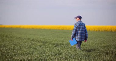 Tarım - Tarlada Yürüyen Tarım Tarlalarında Ekinleri İncelemek.