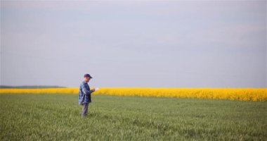 Tarım, Gıda Üretimi - Tarladaki Ekinleri İnceleyen Çiftçi