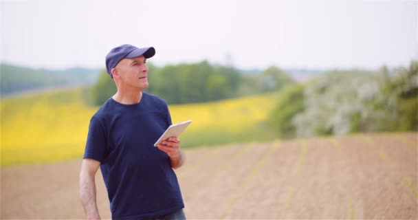 Agricoltore moderno di successo fumare la sua pipa sul campo Wile esame colture Agricoltura. — Video Stock