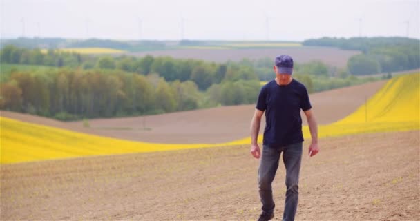 Agrónomo examinando cultivos y utilizando tableta digital en el campo — Vídeo de stock