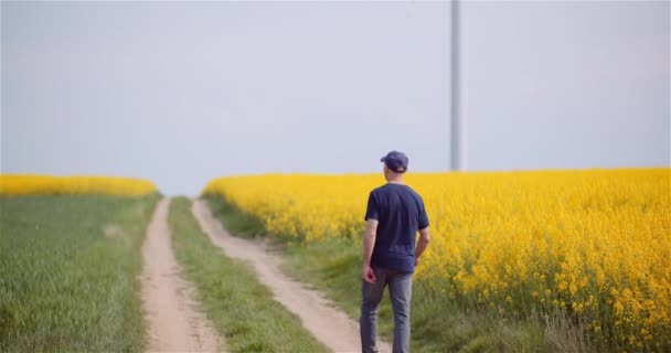 Jordbruk - Jordbrukare eller lantbrukare som vandrar på jordbruksmark — Stockvideo