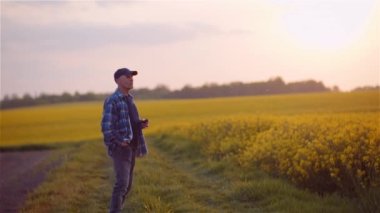 Bir tarımda çalışırken cep telefonuyla konuşan çiftçi