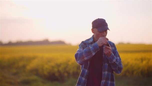 Nöjd skallig bonde röker sin pipa på fältet — Stockvideo