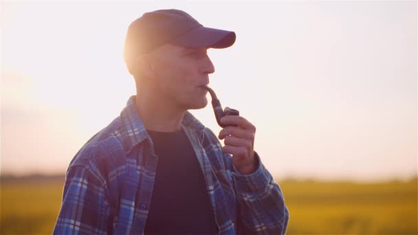 Sikeres modern mezőgazdasági termelő dohányzik a cső a területen Wile Vizsgáló növények mezőgazdaság. — Stock videók