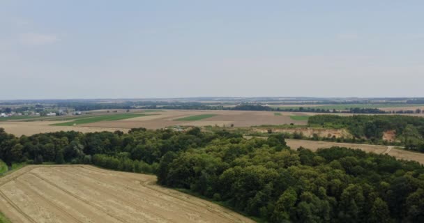 Luchtfoto van Farmland. Luchtfoto van bossen en landbouwvelden — Stockvideo