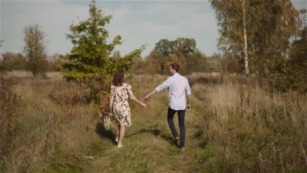 Paar verliefd wandelende en hand in hand — Stockvideo