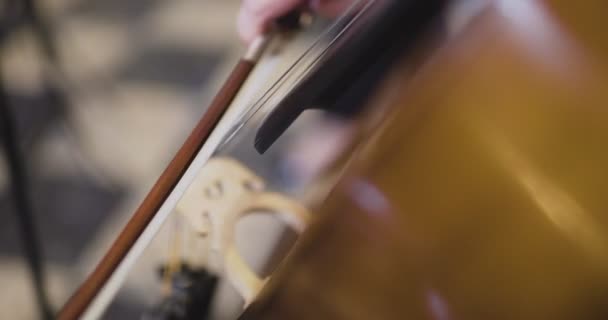 Musiker spielt Cello im Orchester — Stockvideo