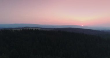 Gün Doğumu Hava Görüntüleme Ormanı Şafakta