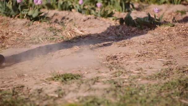 Agricultor caminando sobre la suciedad en granja — Vídeos de Stock