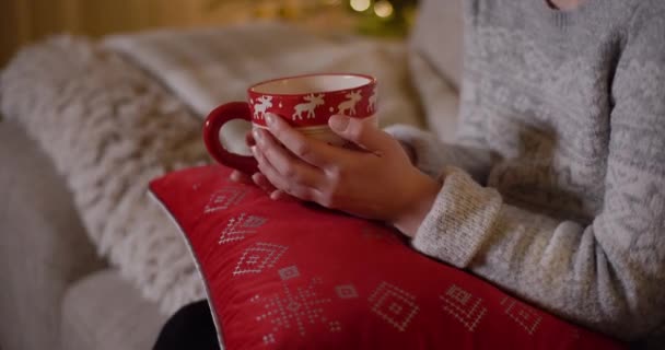Mulher segurando xícara de café em mãos no Natal — Vídeo de Stock