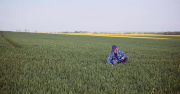 Agronom zkoumá úrodu a používá digitální tabletu na poli — Stock video