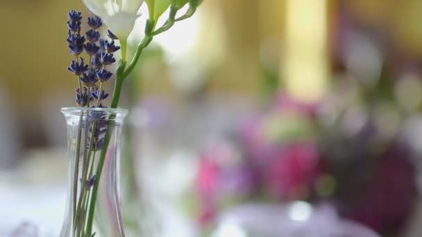 Mesa decorada para una cena de bodas con flores — Vídeos de Stock