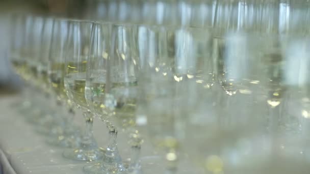 Champagne. veel champagnefluiten met sprankelende champagne — Stockvideo