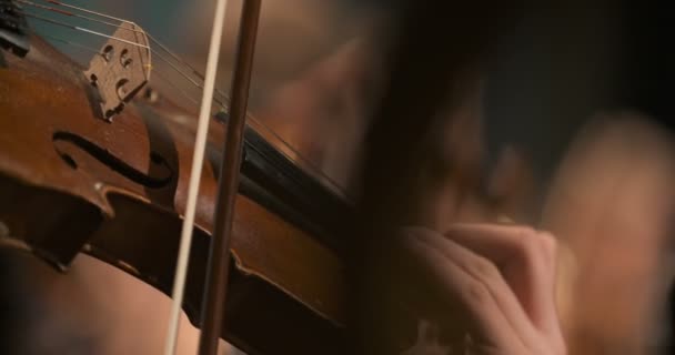 Musiker som spiller fiolin – stockvideo