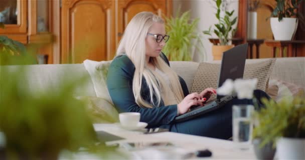 Geschäftsfrau bei der Arbeit im Home Office am Laptop. Frau schreibt E-Mail auf Laptop. — Stockvideo