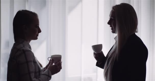 Twee zakenvrouwen nemen korte koffiepauze in Ofiice, Consulting Project. Bedrijfsconcept. — Stockvideo