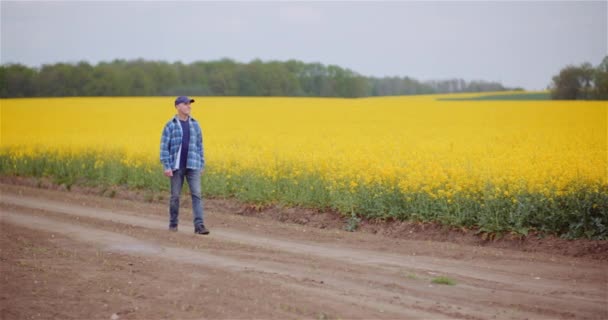 Agricultorul examinează culturile la ferma de rapiță cu semințe de ulei . — Videoclip de stoc