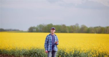 Tecavüz Tohumu Tarlasını Güzel Sarı Tecavüz Tohumu Tarlasına Karşı Dijital Tabletle Denetleyen Çiftçi.