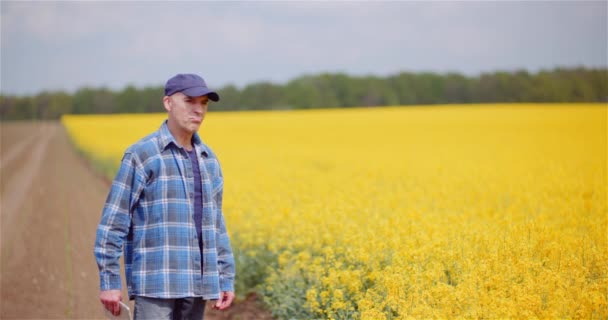 Farmer Checking Crops of Rapeseed Field with Digital Tablet Against Beautiful Yellow Rapeseed field. — стокове відео