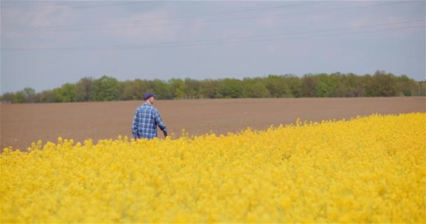 Farmář zkoumá zemědělské pole při práci na digitálním tabletu počítače na farmě. — Stock video