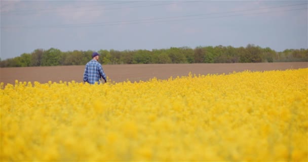 Farmář zkoumá zemědělské pole při práci na digitálním tabletu počítače na farmě. — Stock video