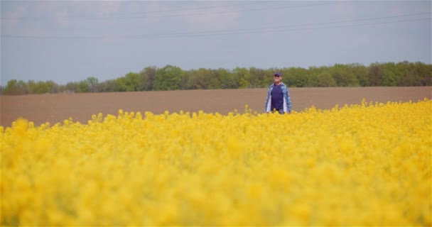 Agricultor Examinando Cultivos na Fazenda Oil Seed Rapefield. — Vídeo de Stock