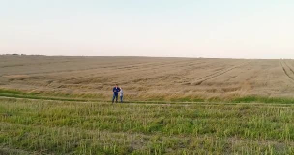 Jóvenes agricultores discutiendo en el campo de maíz — Vídeos de Stock