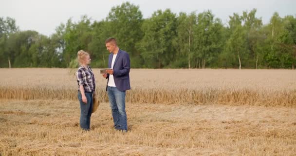 Landbouw - vrouwelijke en mannelijke landbouwers praten op tarweveld tijdens de oogst — Stockvideo