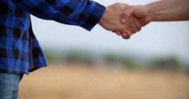 Genç Çiftçiler Buğday Tarlasında Tartışıyor