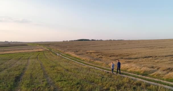 Jonge boeren discussiëren op Maïsveld — Stockvideo