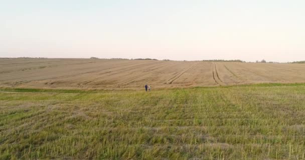 Fiatal gazdák vitája a kukoricaföldön — Stock videók