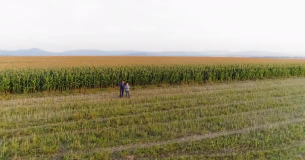 Fiatal gazdák megvitatása a kukoricaföldi mezőgazdaságban — Stock videók