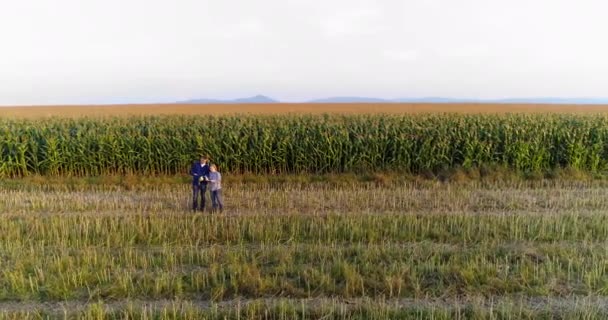 Les jeunes agriculteurs discutent au champ de maïs Agriculture — Video