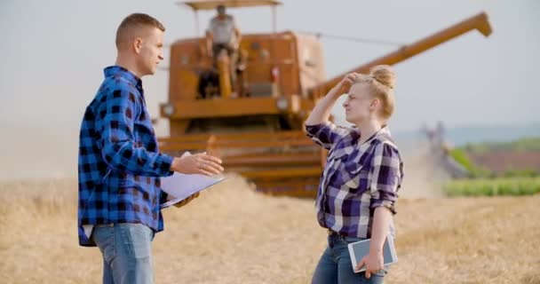 小麦畑で議論する若い農民 — ストック動画