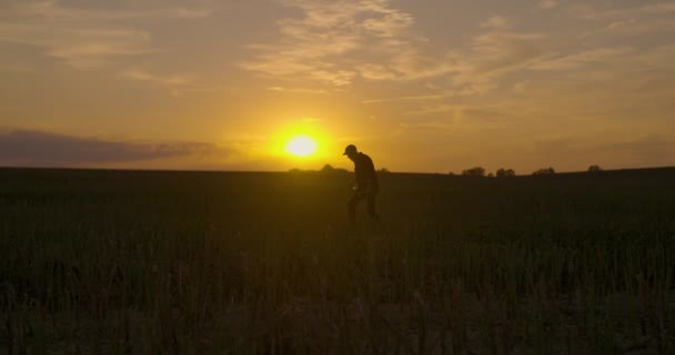 Pijący rolnik spacerujący po polu rolniczym — Wideo stockowe