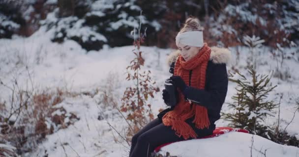 Café à boire touristique dans les bois en hiver — Video