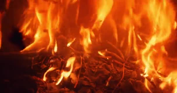 Chama de fogo queimando uma fogueira ou lareira em casa — Vídeo de Stock