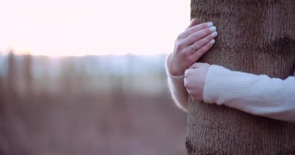Schöne liebevolle Natur Frau umarmt Baum im Wald im Herbst — Stockvideo