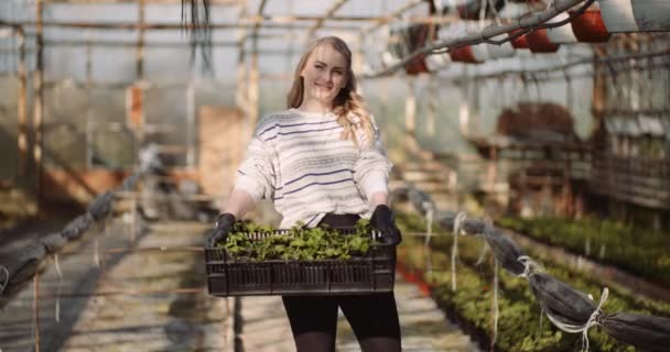 Landwirtschaft - Gärtnerin hält Kiste mit Blumensämlingen — Stockvideo