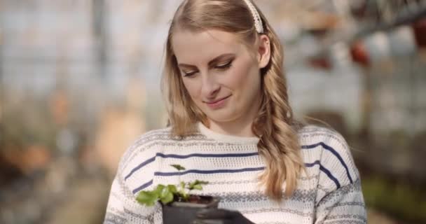 Jardinier femelle examinant des plantes en serre — Video