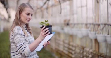 Tarım - kadın bahçıvan çiçek fidanlarını inceliyor