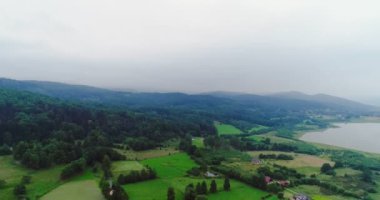 Güzel orman ağaçlarının üzerinde uçuyor. Peyzaj Panoraması.