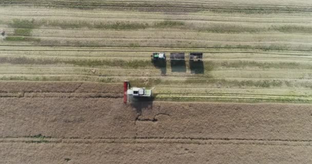 밭에서 농작물을 수확하는 기계류 — 비디오